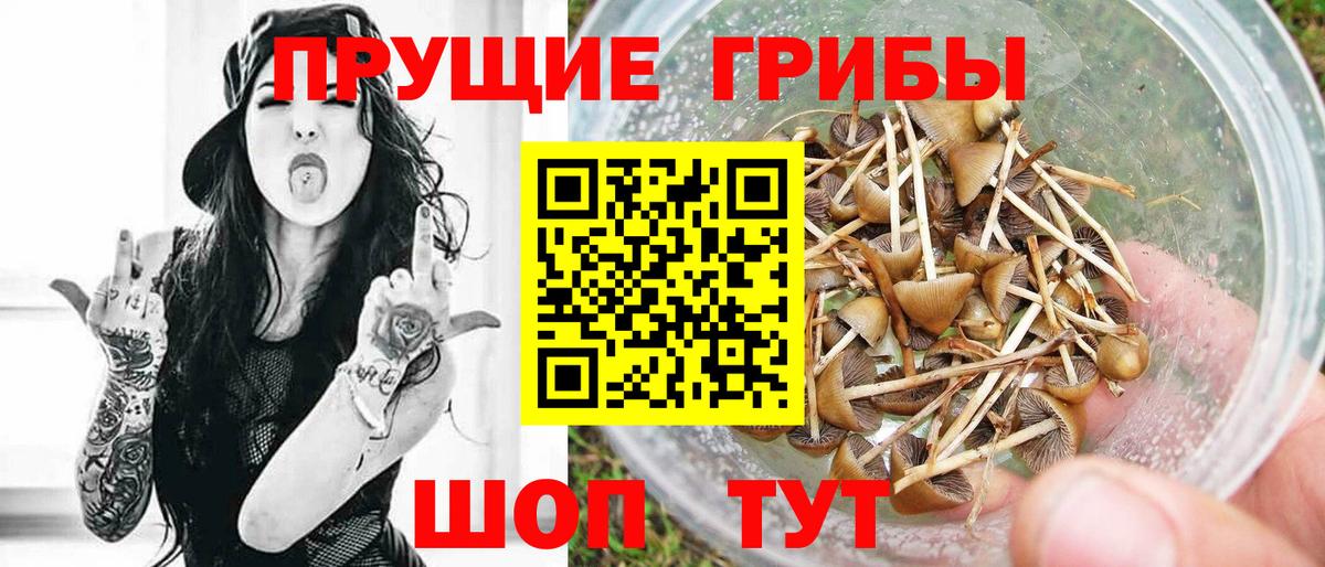 Псилоцибиновые грибы мухоморы Новоуральск